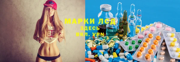 трава Ельня