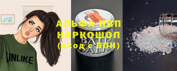 трава Ельня