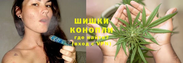 трава Ельня