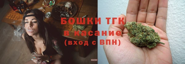 трава Ельня