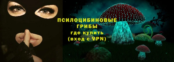 прущие крисы Елабуга