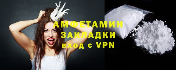 трава Ельня