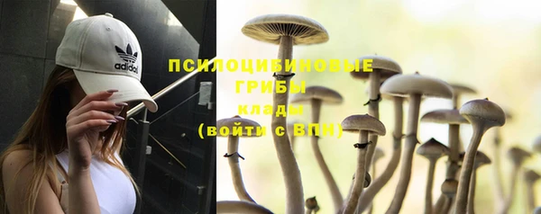 кокаин колумбия Елизово