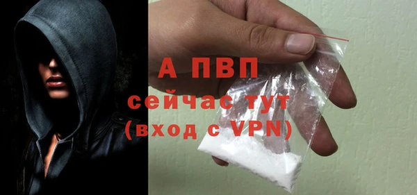 прущие крисы Елабуга