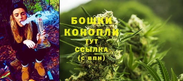 прущие крисы Елабуга