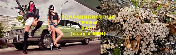 трава Ельня