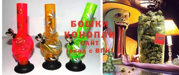 трава Ельня
