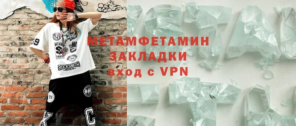 трава Ельня