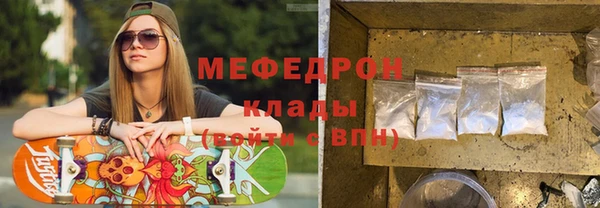 трава Ельня