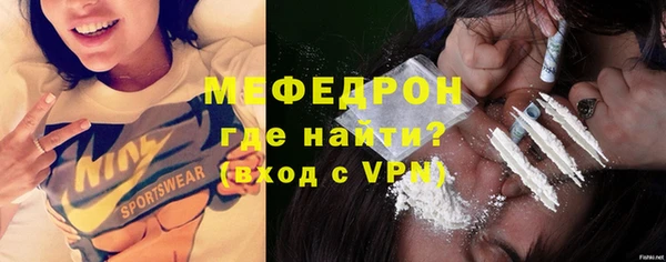 трава Ельня