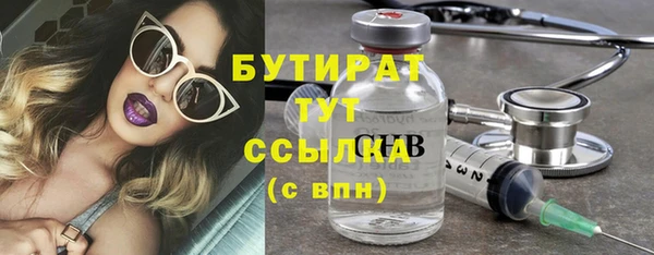 трава Ельня