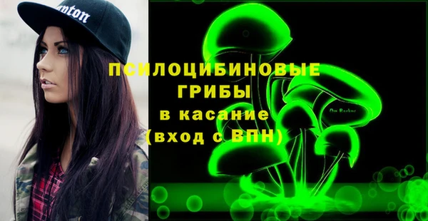 прущие крисы Елабуга