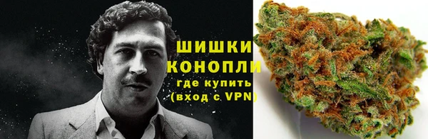 трава Ельня