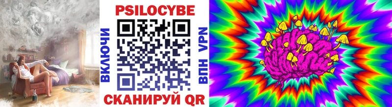 Купить где  Карабулак  Псилоцибиновые грибы мухоморы 